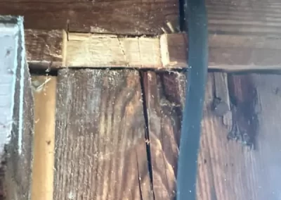 Garage Door Service (13)